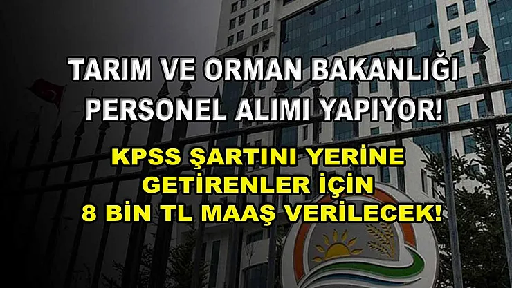 Tarım ve Orman Bakanlığı Personel Alımı Yapıyor! KPSS Şartını Yerine Getirenler İçin 8 Bin TL Maaş Verilecek!