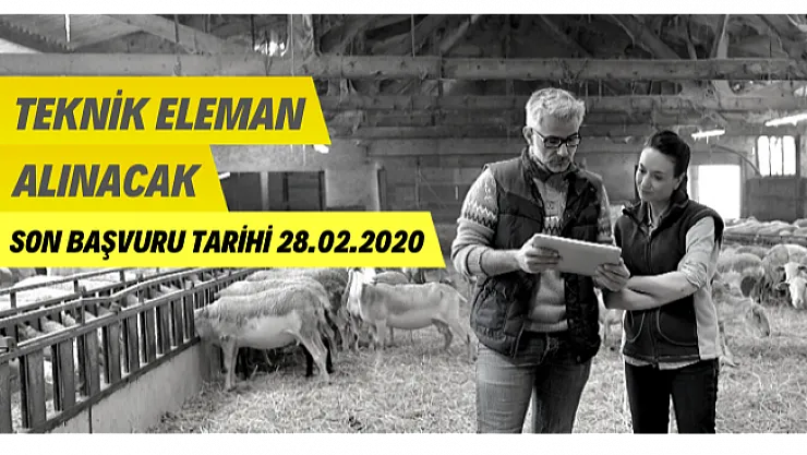 Tarım ve Orman Bakanlığı tarafından ortak yürütülen projeye teknik personel alımı yapılacak!