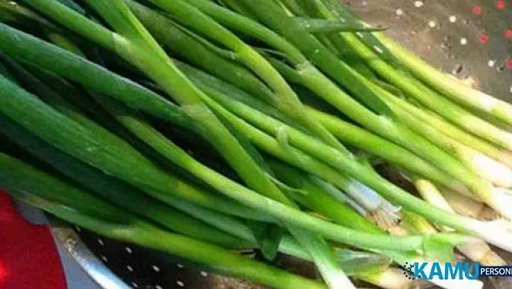 Tarladan Hale Gelene Kadar Flaş Zam: Yeşil Soğanın Çuvalı Tarlada 5, Halde 100 TL