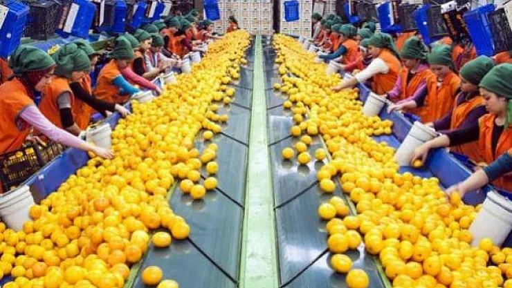 TASCO Gıda İŞKUR aracılığı ile 20 işçi alımı yapacağını duyurdu!