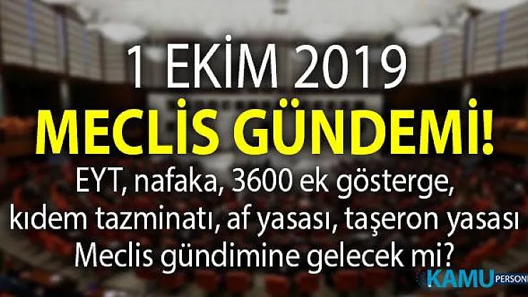 TBMM gündeminde neler var? EYT, nafaka, 3600 ek gösterge, genel af yasası, taşeron son durum nedir?