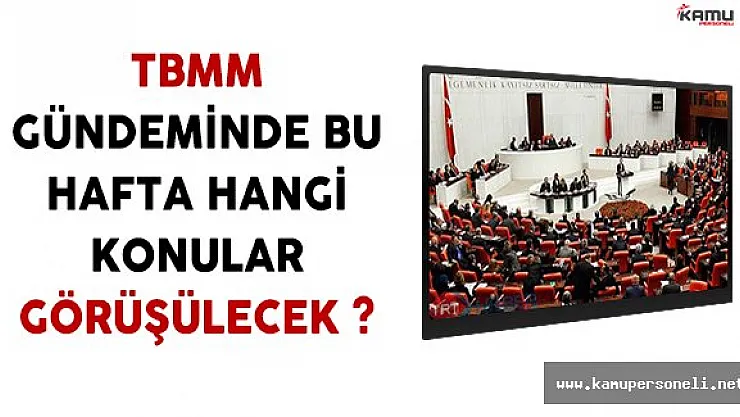 TBMM'de Bu Hafta Hangi Konular Görüşülecek ?