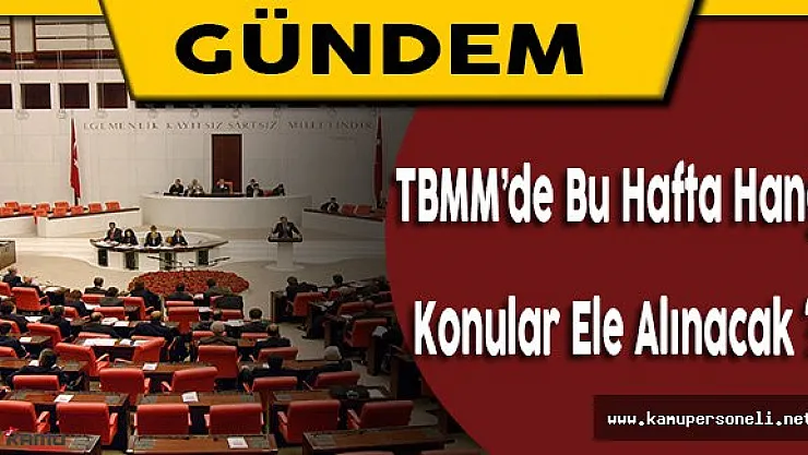 TBMM'nin Bu Haftaki Gündeminde Neler Var ?