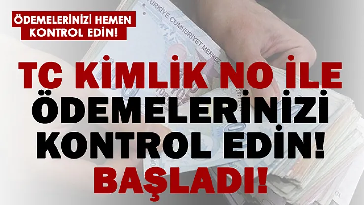 TC kimlik numaranızla ödemelerinizi kontrol edin! Başladı!