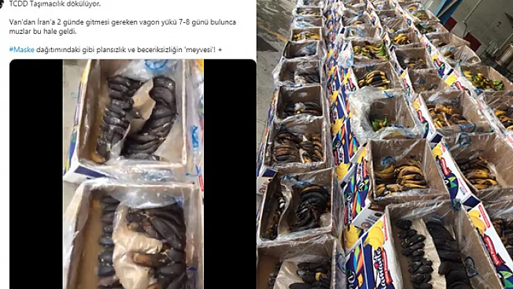 TCDD taşımacılık Van'dan İran'a 8 günde gidince muzlar çürüdü!
