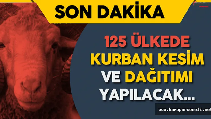 TDV 125 Ülkede Kurban Kesim ve Dağıtımı Yapacak