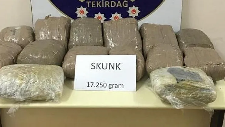 Tekirdağ'da 17 kilo uyuşturucu maddesi skunk ele geçirildi