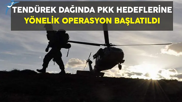 Tendürek Dağında PKK Hedeflerine Yönelik Operasyon Başlatıldı