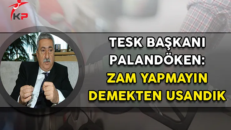 TESK Başkanı Palandöken: Zam Yapmayın Demekten Usandık