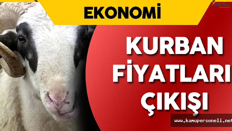 TESK Başkanı'ndan Kurban Fiyatları Tepkisi