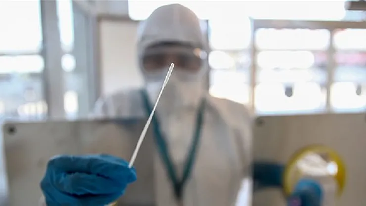 THY İle Seyahat Edecekler Dikkat! PCR Testi Ve HES Kodu Açıklaması Geldi