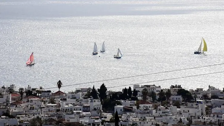 Tirhandil Kupası 2019 Kış Trofesi