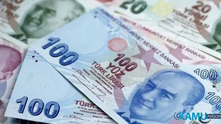 Toprak Mahsulleri Ofisinden (TMO) Fındık Bedelleri Ödemesi Kararı! 20 Gün İçinde Ödemeler Yapılacak