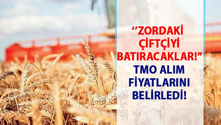 Toprak Mahsulleri Ofisi'nin (TMO) 2019 buğday ve arpa alım fiyatı!