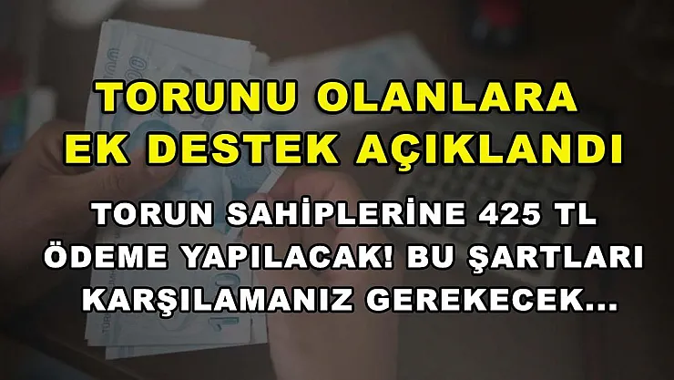 Torunu olanlara ek destek açıklandı: Torun sahiplerine 425 TL ödeme yapılacak! Bu şartları karşılamanız gerekecek...