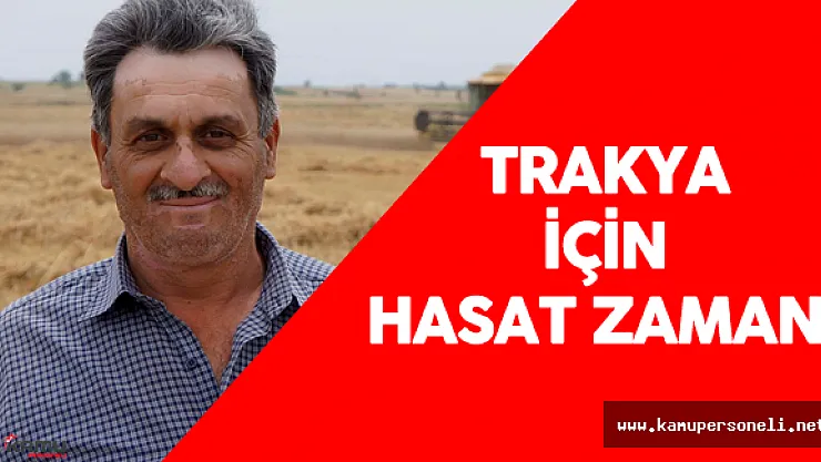 Trakya Bölgesinde Buğday Hasadı Başladı
