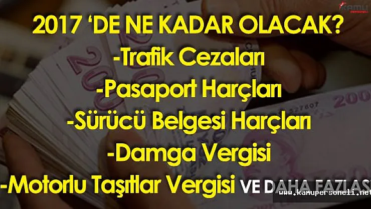TÜİK Açıkladı! Sürücü Belgesi , Pasaport Harcı Ne Kadar Olacak? Trafik Cezaları Artacak Mı?