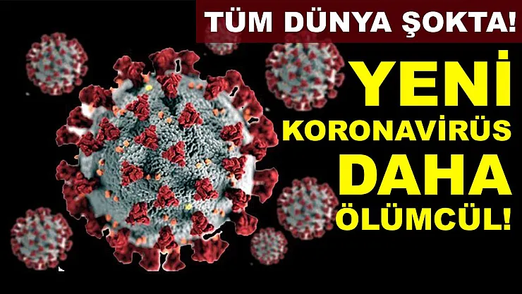 Tüm dünya şokta! Kanıtlar var! Yeni koronavirüs daha ölümcül!