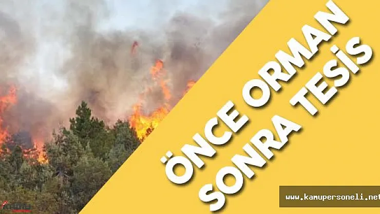 Tuncay Neyişçi : " Orman Yangını Dikkate Alınmadan Turistik Tesis Tasarlanmaz"