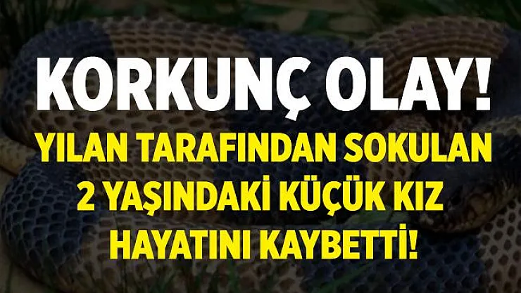 Tunceli'de kahreden olay! Yılanın saldırdığı çocuk hayatını kaybetti!