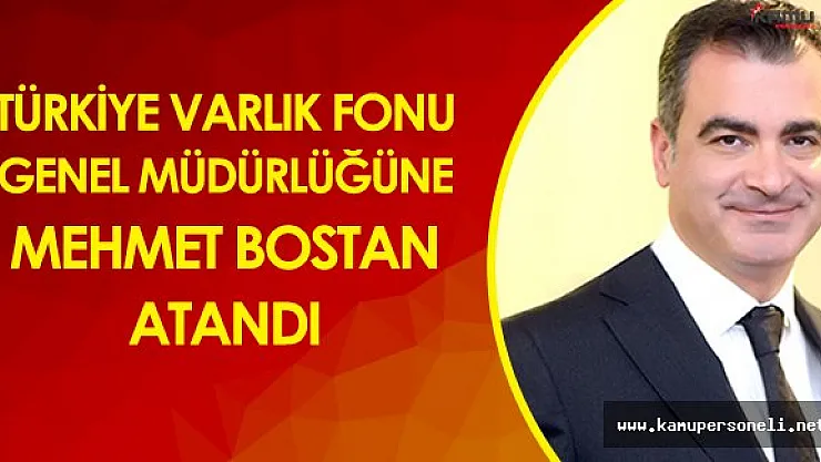 Türkiye Varlık Fonu AŞ Genel Müdürlüğüne Mehmet Bostan Atandı