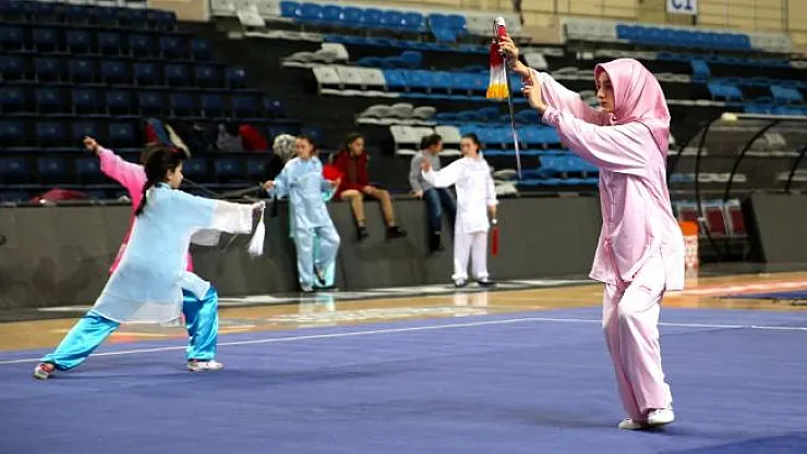 Türkiye Wushu Taolu Taichi Şampiyonası