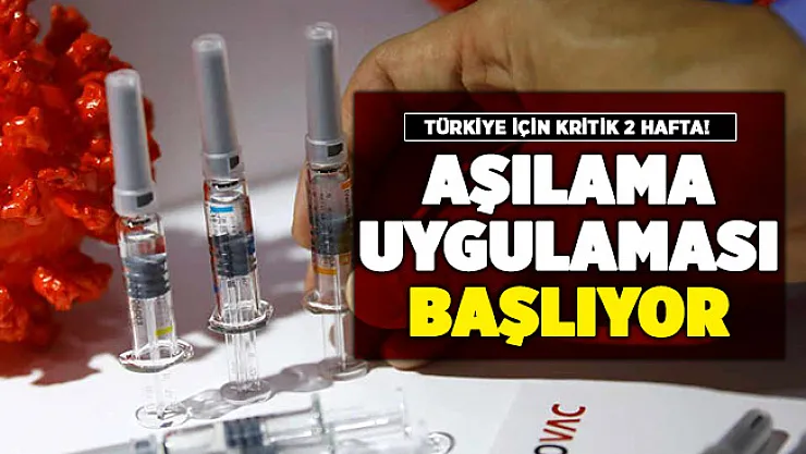 Türkiye'de 2 hafta sonra corona virüs aşılaması başlıyor!
