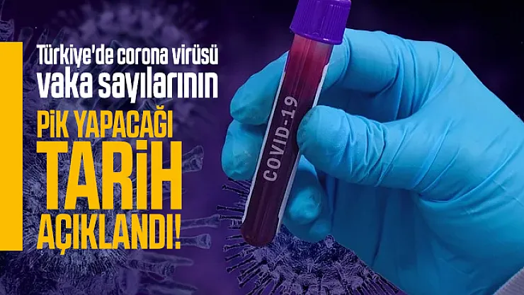 Türkiye'de corona virüsü vaka sayılarının pik yapacağı tarih açıklandı!