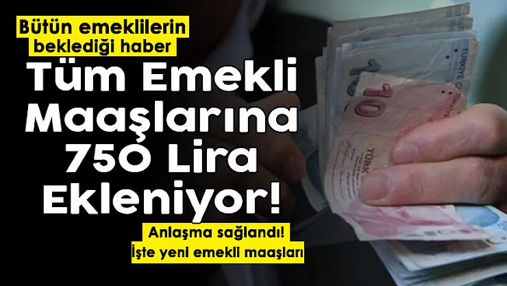 Türkiye'deki tüm emeklilere müjde verildi! Bütün emekli maaşlarına 750 lira ekleniyor: İşte yeni emekli maaşları