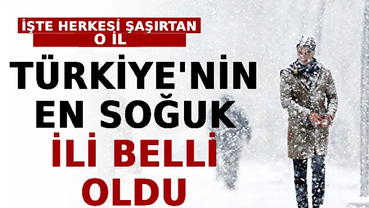 Türkiye'nin En Soğuk İli Belli Oldu! İşte Herkesi Şaşırtan O İl