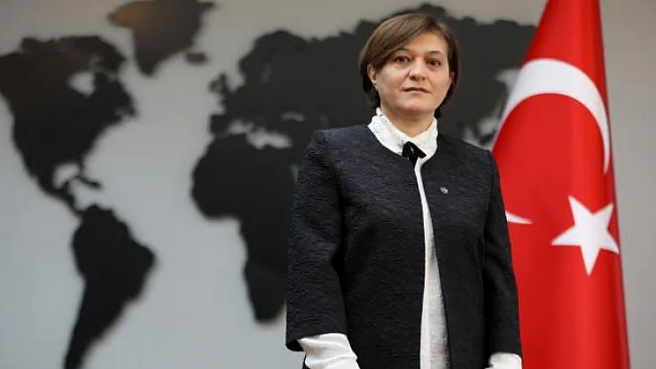 Türkiye'nin GREVIO adayı Prof. Dr. Aşkın Asan oldu