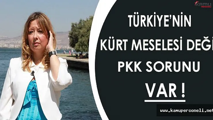 Türkiye'nin Kürt Değil PKK Sorunu Var !