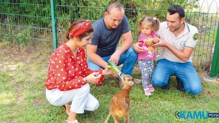 Üniversite Öğrencilerine Yaz Tatillerinde İş Deneyimi