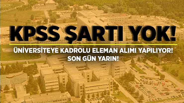 Üniversiteye kadrolu 60 personel alımı yapılıyor! KPSS şartı yok! Başvurular 29 Haziran'da sona eriyor!
