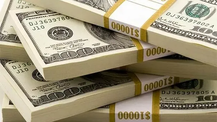 Ünlü Ekonomistten Ürperten Tahmin! İşte Dolar'ın 18 TL Olacağı Tarih