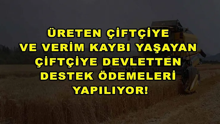 Üreten çiftçiye ve verim kaybı yaşayan çiftçiye devletten destek ödemeleri yapılıyor!