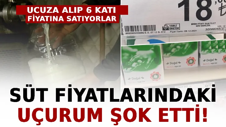 Üreticiden Ucuza Alıp 6 Katı Fiyatına Satıyorlar: Süt Fiyatlarındaki Uçurum Şok Etti!