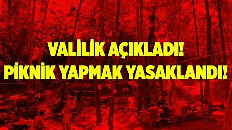 Valilik açıkladı! Piknik yapmak yasaklandı!