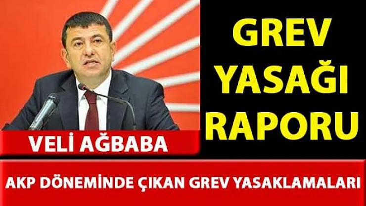 Veli Ağbaba, 'Grev Yasakları' ile ilgili rapor hazırladı