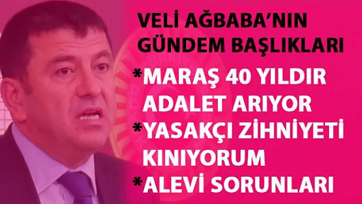 Veli Ağbaba: Maraş katliamı ve Alevi sorunları hakkında açıklamalarda bulundu