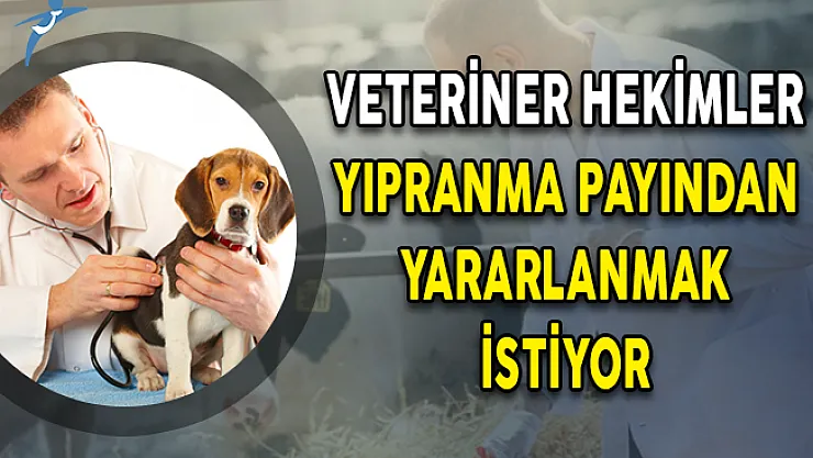 Veteriner Hekimler Yıpranma Payından Yararlanmak İstiyor!