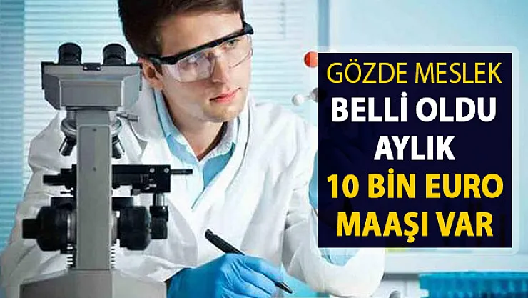 Yeni Gözde Meslek Belli Oldu ! Aylık 10 Bin Euro Maaşı Var