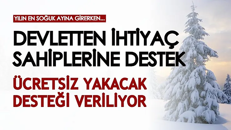 Yılın en soğuk ayına girerken devletten ihtiyaç sahiplerine destek: Ücretsiz yakacak desteğinden yararlanmayı unutmayın!