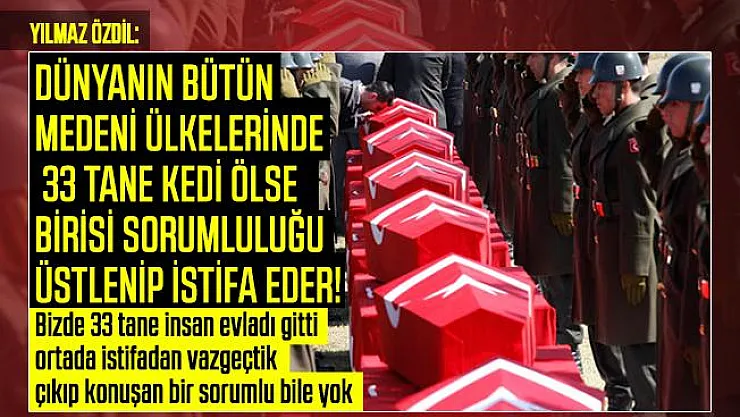 Yılmaz Özdil isyan etti: Dünyanın bütün medeni ülkelerinde 33 tane kedi ölse birisi sorumluluğu üstlenip istifa eder!