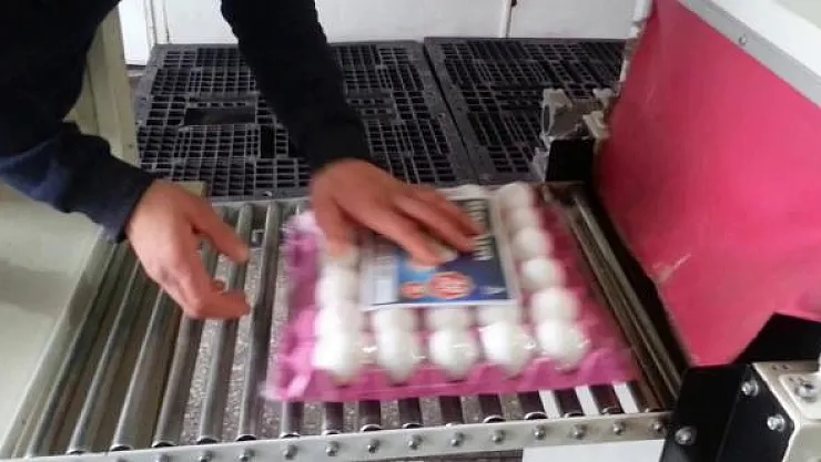 Yumurta paketleme işçisi alımı yapılacak!