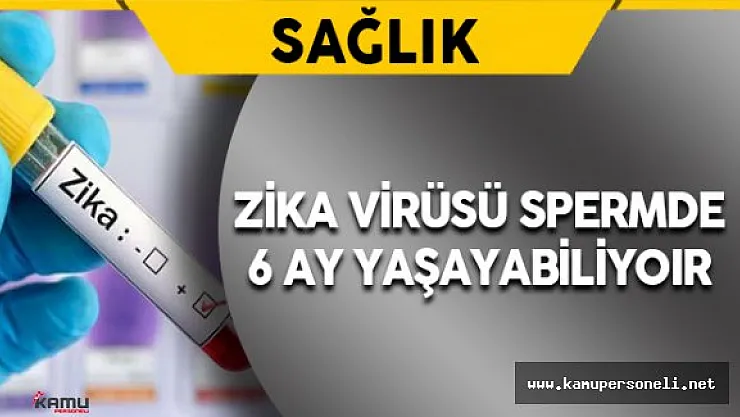 Zika Virüsü Spermde 6 Ay Yaşayabiliyor