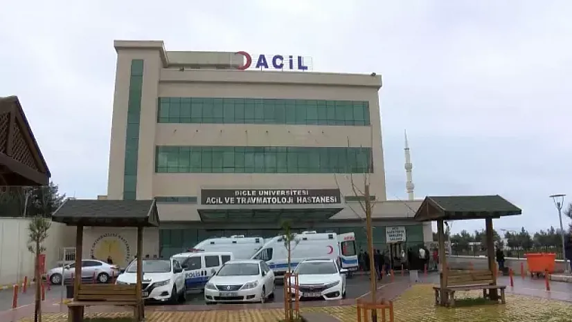 Diyarbakır'da kan donduran cinayet: Cezaevinden çıktı, eşini boğup araziye gömdü