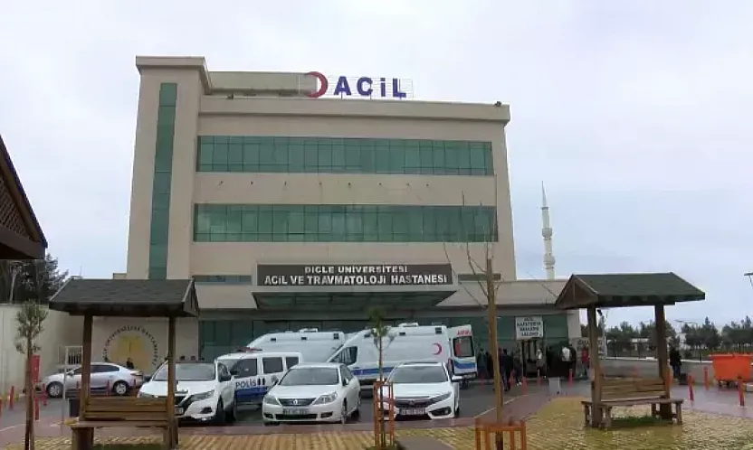 Diyarbakır'da kan donduran cinayet: Cezaevinden çıktı, eşini boğup araziye gömdü